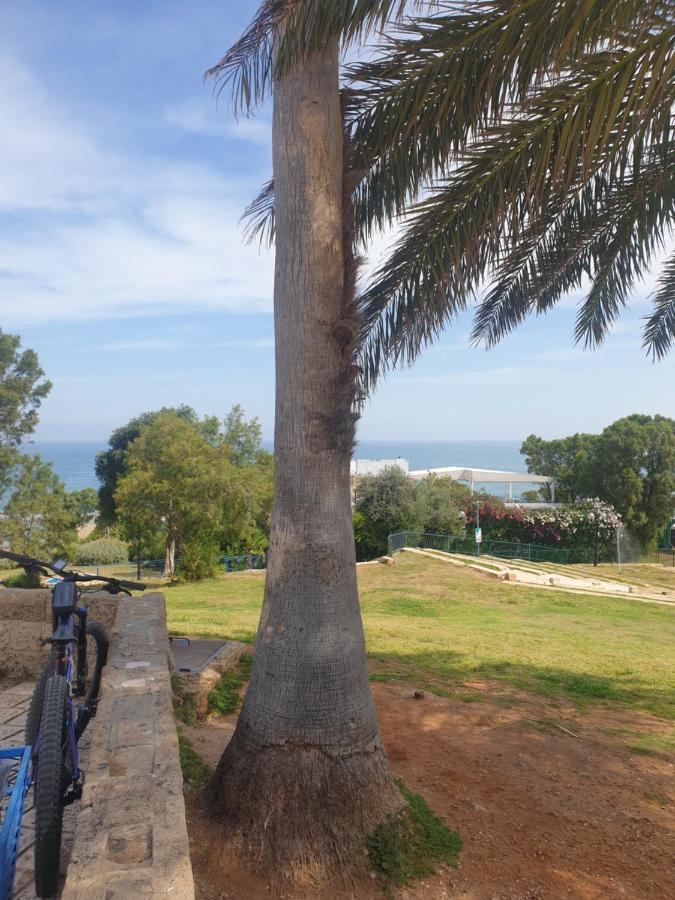 Luxury Studio At The Heart Of Old Jaffa Tel Aviv Luaran gambar